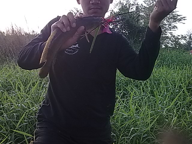 บังเอิญเจอของดี
