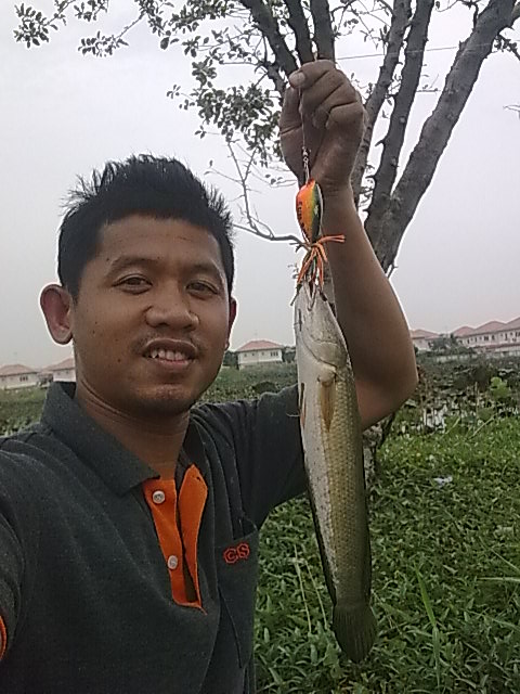 บังเอิญเจอของดี