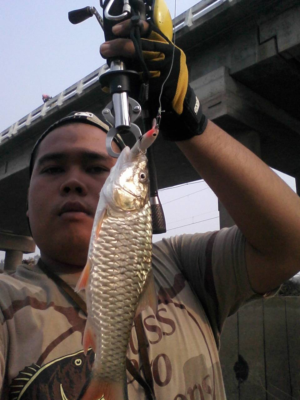 กระสูบ เมืองสิงห์ By Super gus