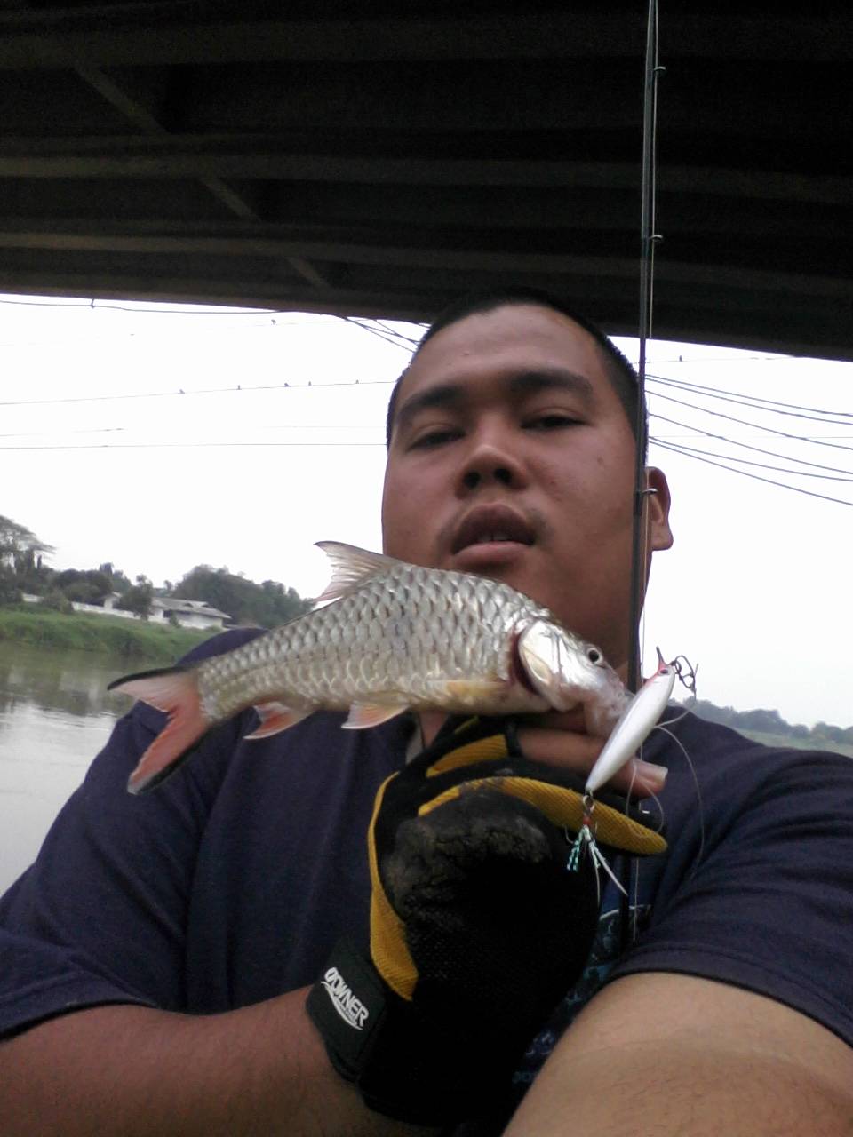 กระสูบ เมืองสิงห์ By Super gus