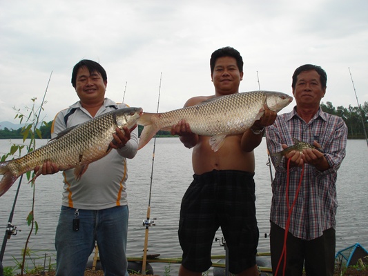 ตปลานวลจันท์ใหญ่ที่อ่างห้วยแก้ว