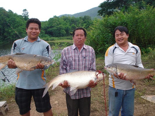 ตปลานวลจันท์ใหญ่ที่อ่างห้วยแก้ว