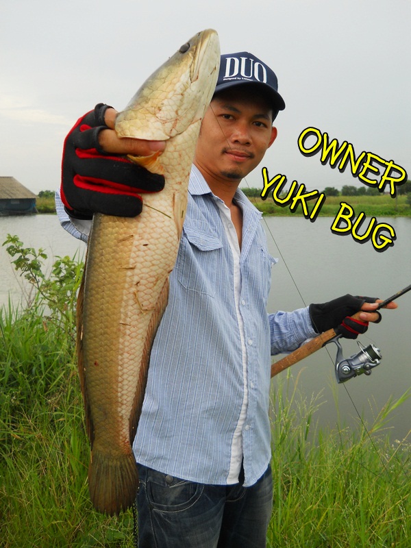 ด่วน!!! เปิดซิงปลาช่อนวังกุ้งพานทอง อาทิตย์นี้ มีร