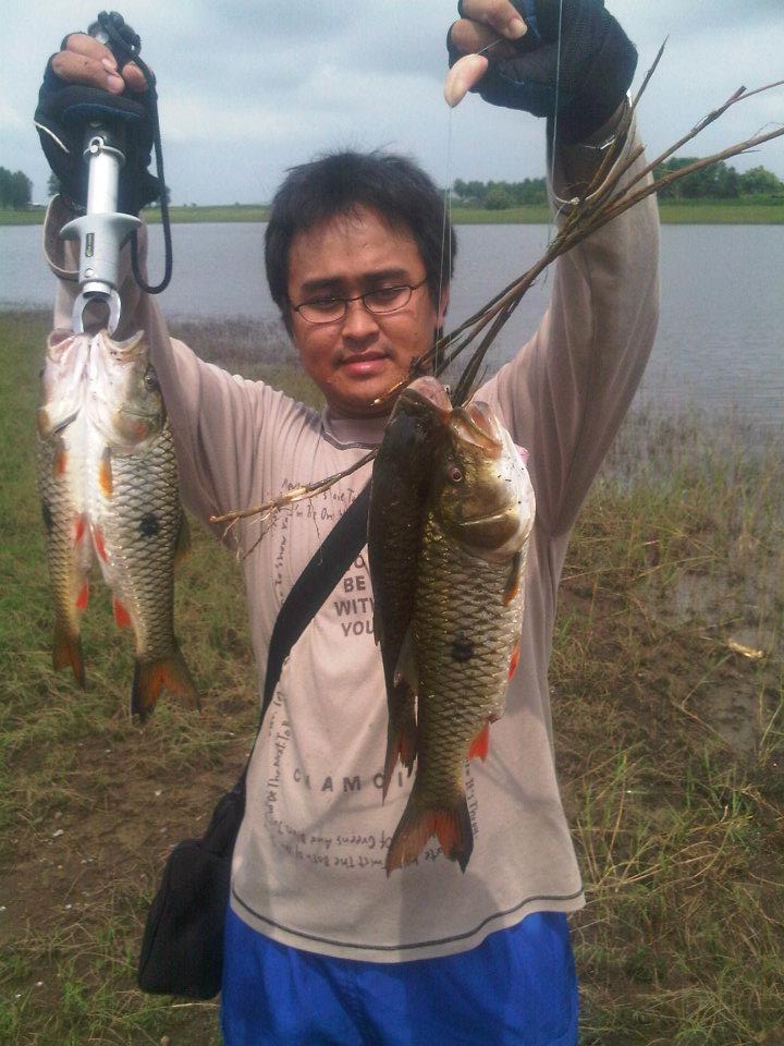 กระสูบเขื่อนลำปาว