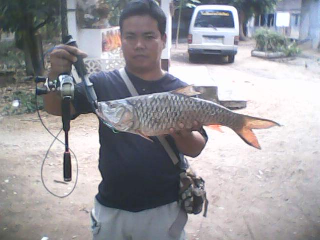 กระสูบเมืองตากครับ