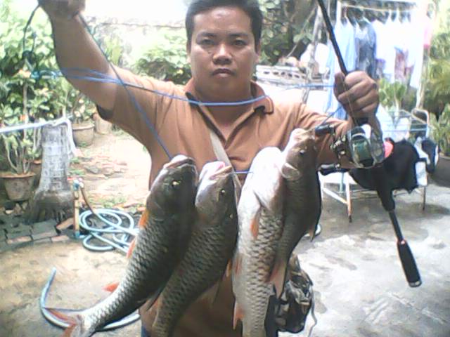 กระสูบเมืองตากครับ