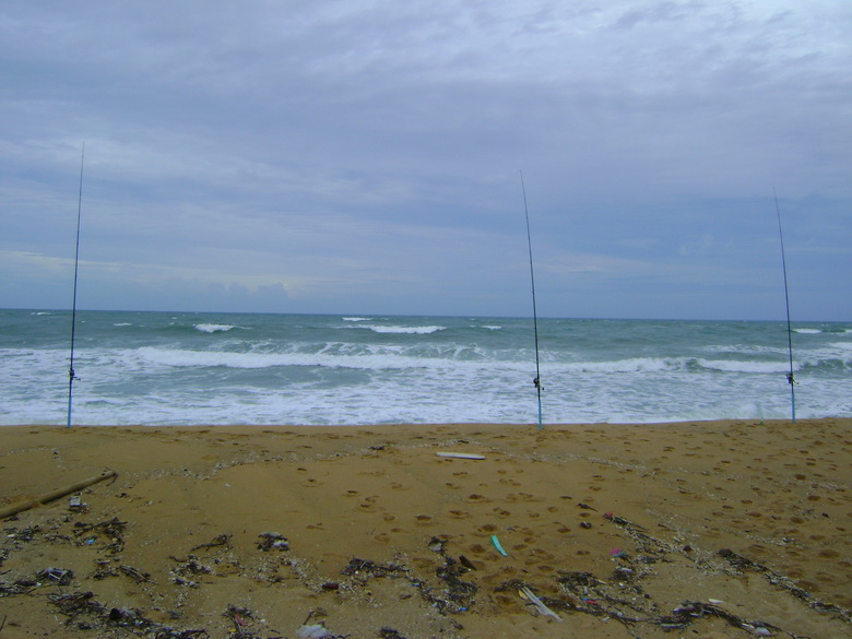 ช่วยเเนะนำ คันเเละรอกสำหรับ Surf ชายหาด 