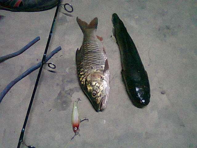 เหตุเกิดวันนี้..ณ..1ทุ่มเศษ ๆ