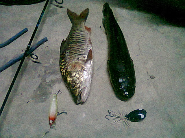 เหตุเกิดวันนี้..ณ..1ทุ่มเศษ ๆ
