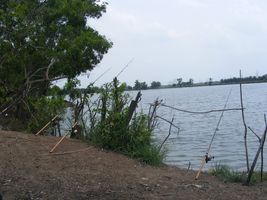 ที่เดิม วันละตัว