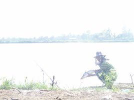 ที่เดิม วันละตัว