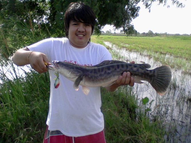 เทสเหยื่อวันหยุด