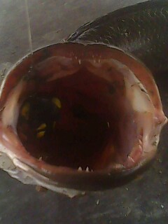 ทดลองส่งคร้าบ