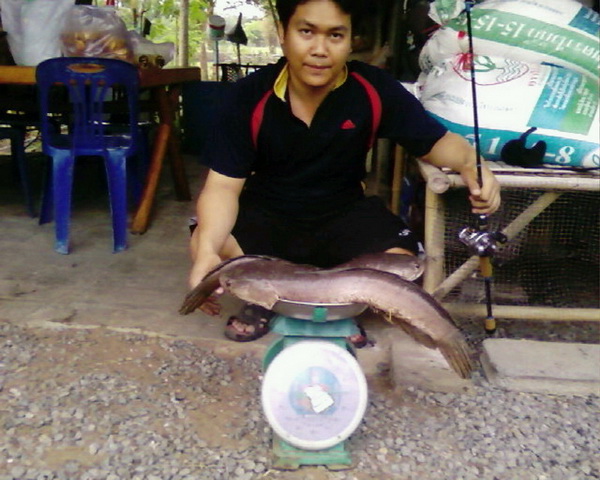 ผลงานกบภูเขียว ฝากให้น้าภานุวัฒน์กับช่อนโคราชครับ
