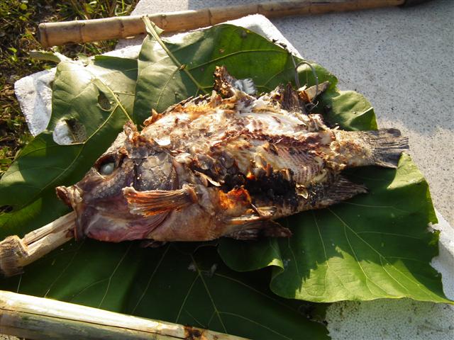 ตกปลาเขื่อนศรีฯ
