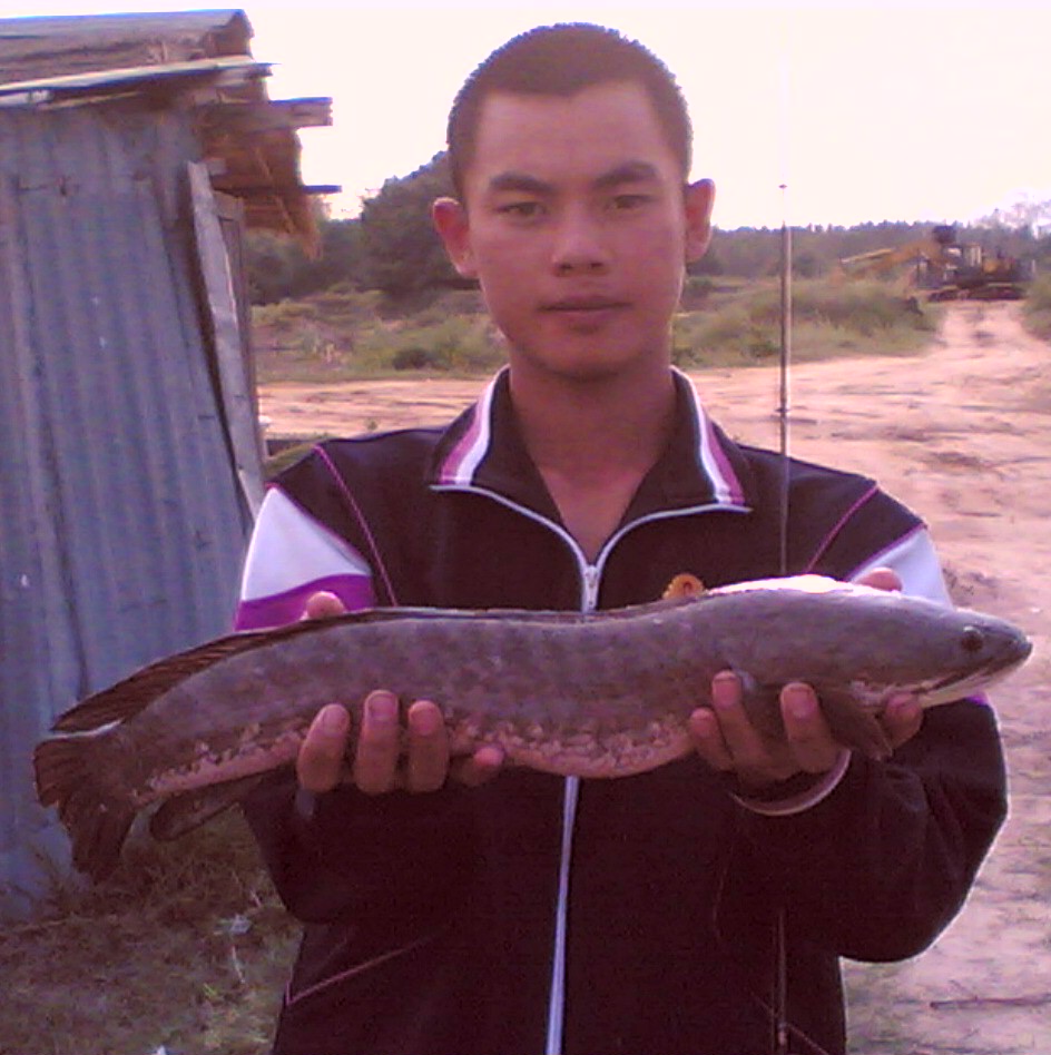 ทดลองส่ง