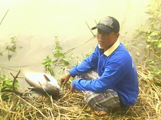 ...บ่อเก่า บ่อแก่ (บางแก้วฟิชชิ่ง Park เก่า)..
