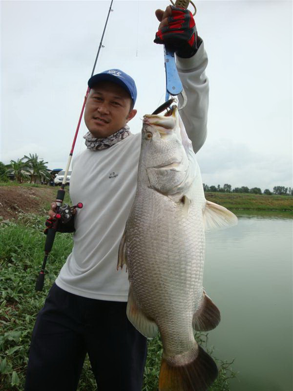 วันที่ 1 ก.ค. กระพงบ้านสร้างครับ