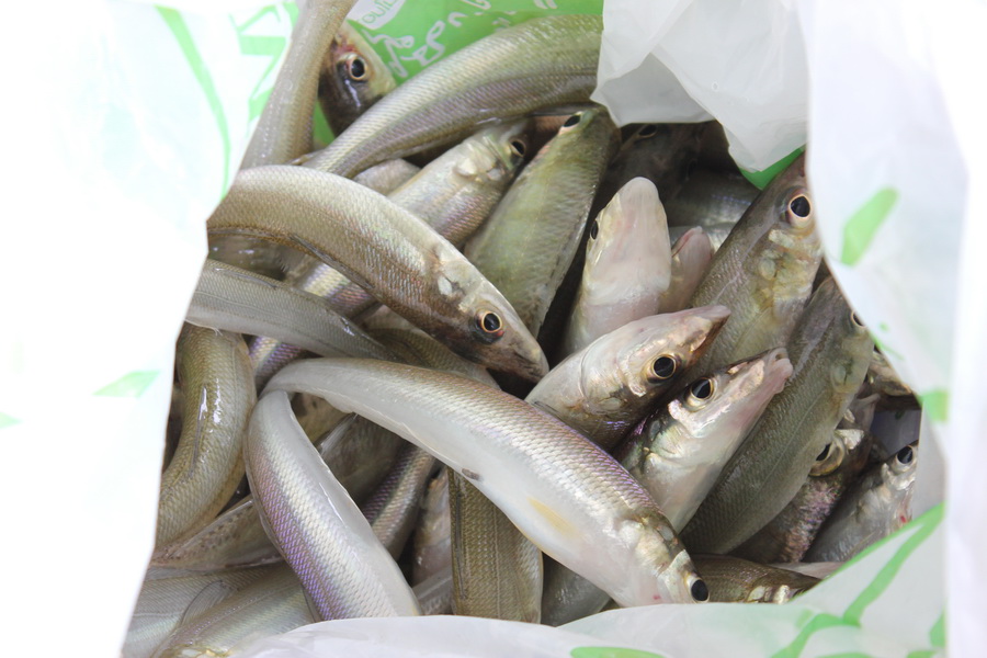 เห็ดโคน