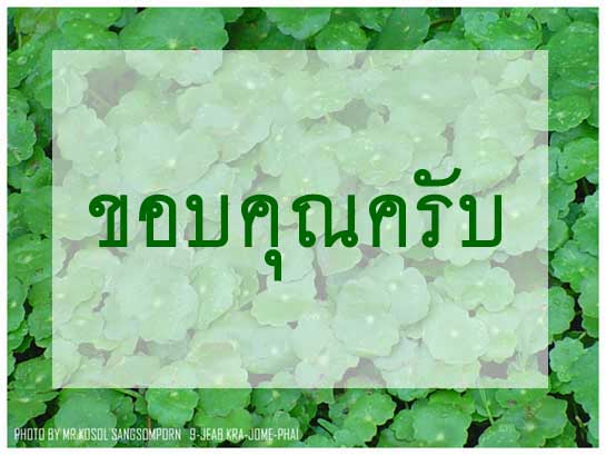 กบน้าไตรรัตน์ มาถึงบ้านนาสารแล้วครับ