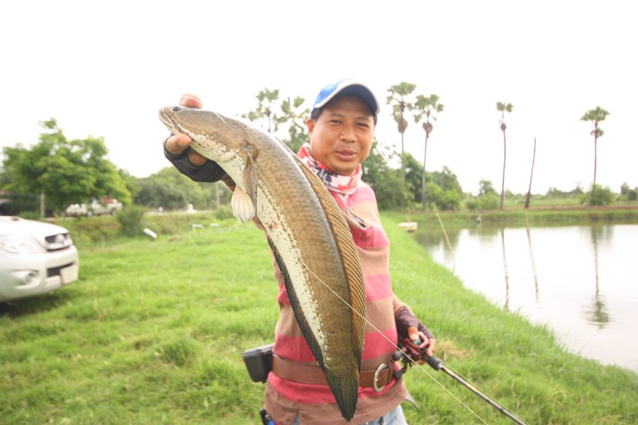 ปิด