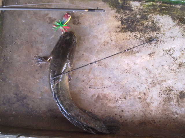 น้องใหม่ขอเสนอ ภาพเก่าเก็บ