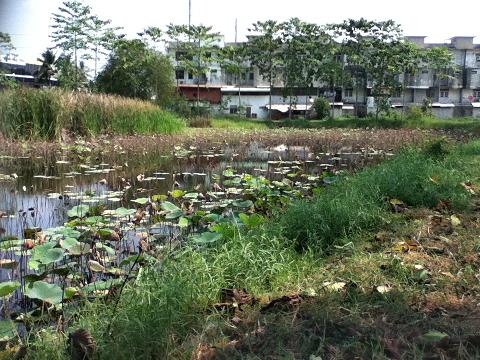ภาพเก่าๆ...รองส่งคับ