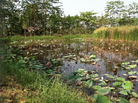 ภาพเก่าๆ...รองส่งคับ