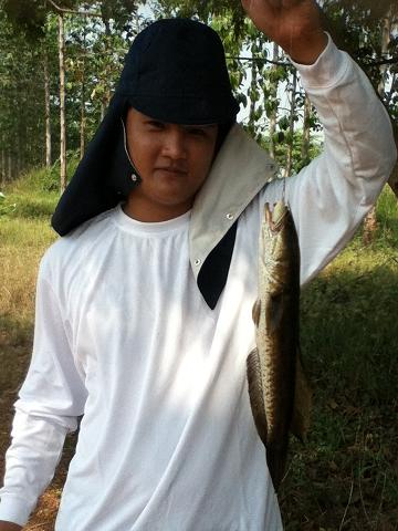 ภาพเก่าๆ...รองส่งคับ