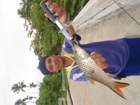 ปลากระสูบ........