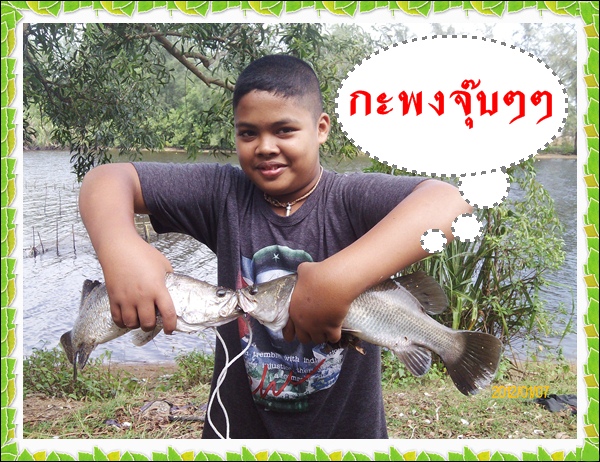 เท่าทีเห็นครับ