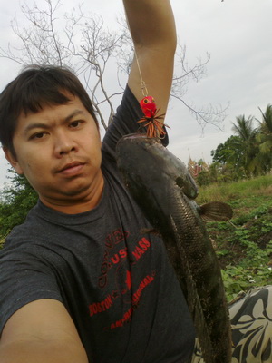 จัดมาเมื่อวาน