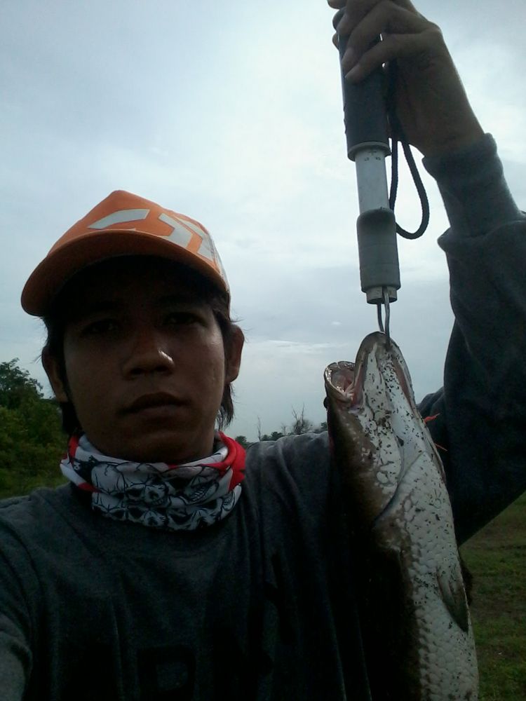 ช่อนน้อย อยุธยาสีขวา (ภาค4)