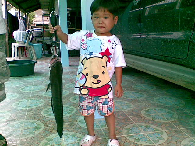 ลุยทางสายป่า ไปหาช่อน