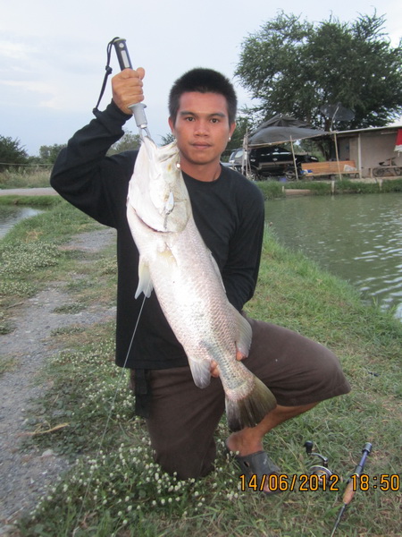 ตกกระพงครับผม (น้องใหม่ฝากเนื้อฝากตัวด้วยครับ)