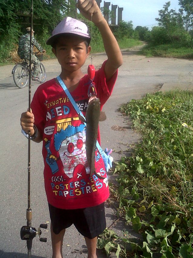 ชะโด ลาดหลุมแก้ว