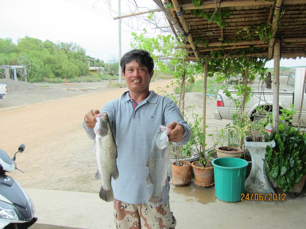 บ่อน้องพลอย