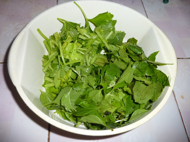 ผัดฉ่าปลาสวาย  