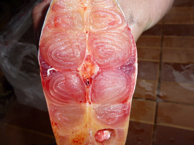 ผัดฉ่าปลาสวาย  