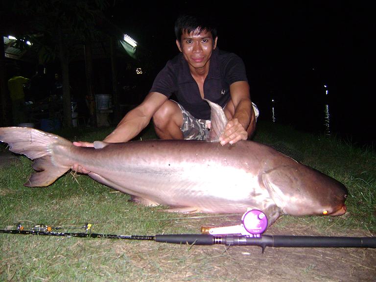ไป...(สกุณา).........ก่อนดู.... (สเปน)