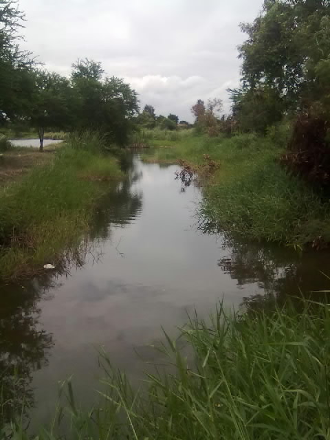 เรื่อง หนอนๆ