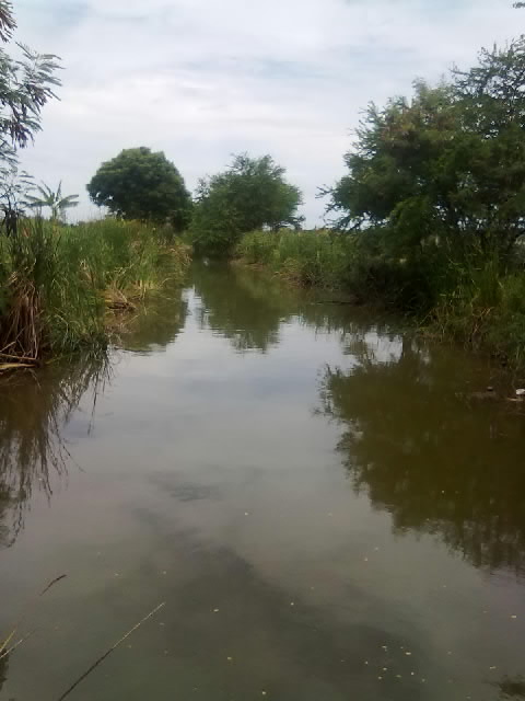 เรื่อง หนอนๆ