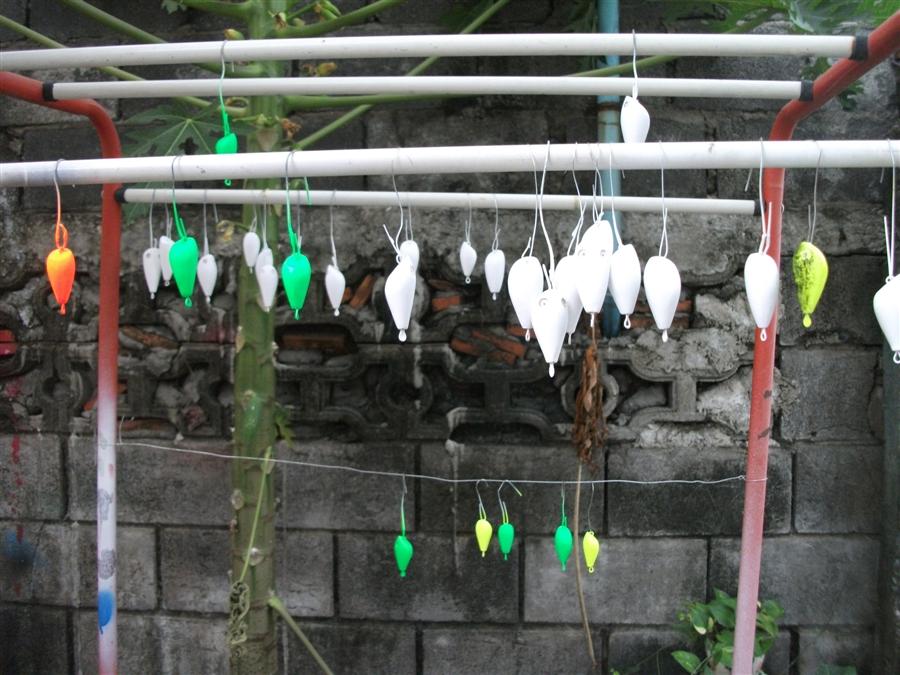 เปิดไหปลาร้า