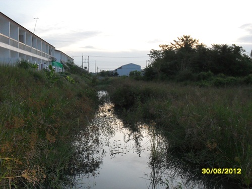 เทสเมื่อหัวค่ำ ที่ ปัตตานี