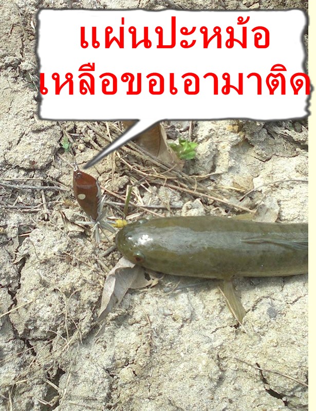 เทส "กบกระโดดน้าตูนท่าชนะ"(เทสแบบไม่ต้องทำสี)