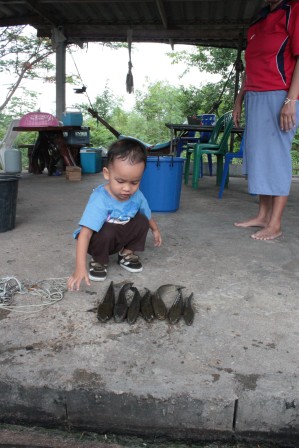 น้องม็อบโชว์เองวันนี้(ช่อนนะจ้ะ)
