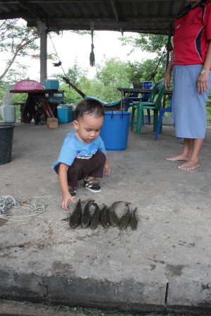 น้องม็อบโชว์เองวันนี้(ช่อนนะจ้ะ)