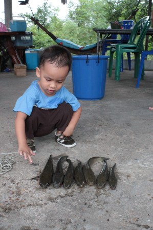 น้องม็อบโชว์เองวันนี้(ช่อนนะจ้ะ)