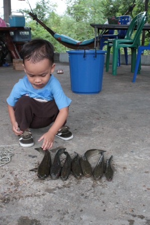 น้องม็อบโชว์เองวันนี้(ช่อนนะจ้ะ)
