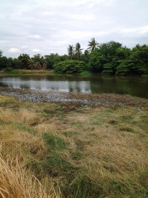 ทริปเล็กๆลองลงดูครับ ช่างกล้องตกด้วยภาพเลยน้อย